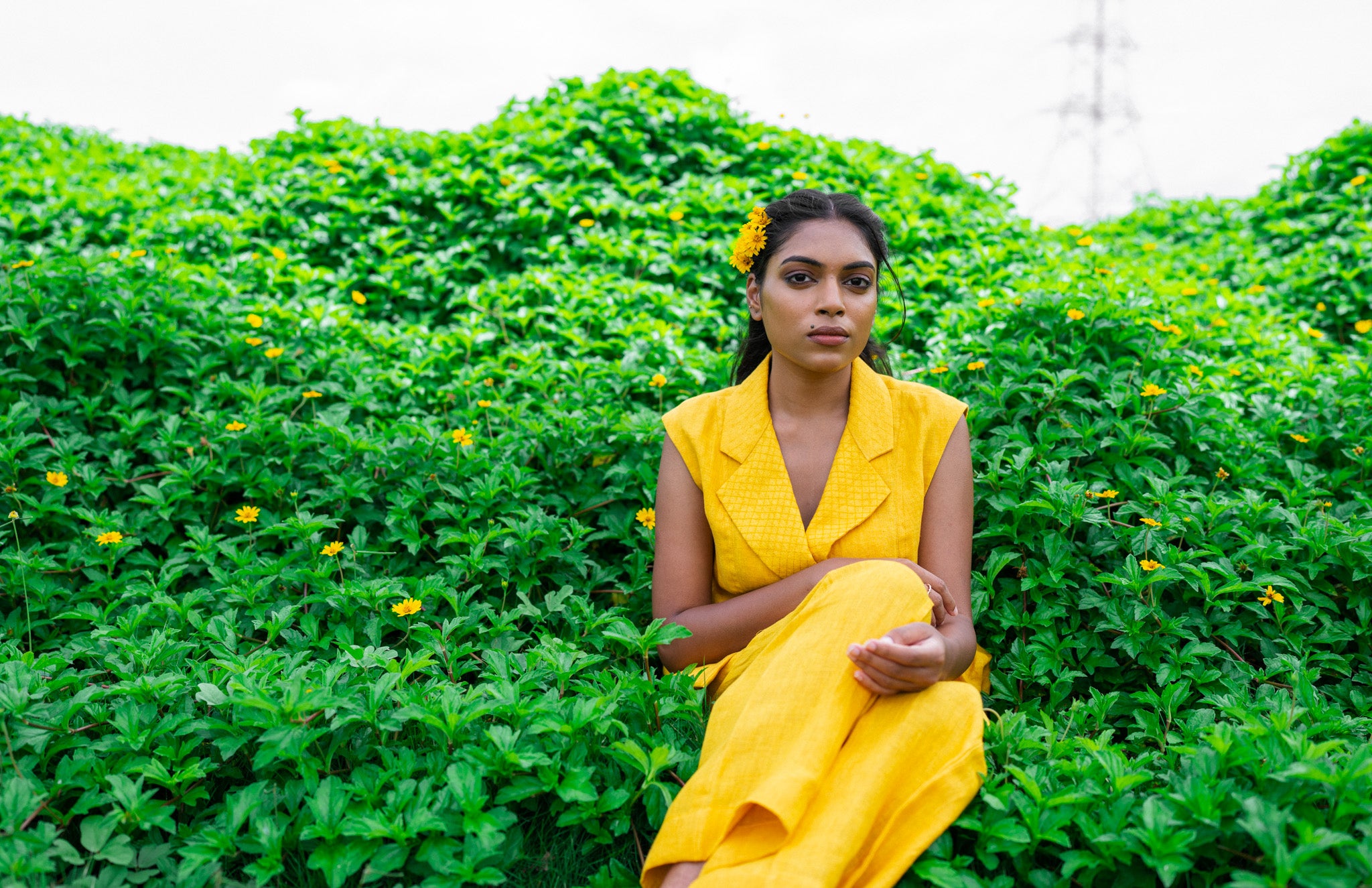 Surajmukhi