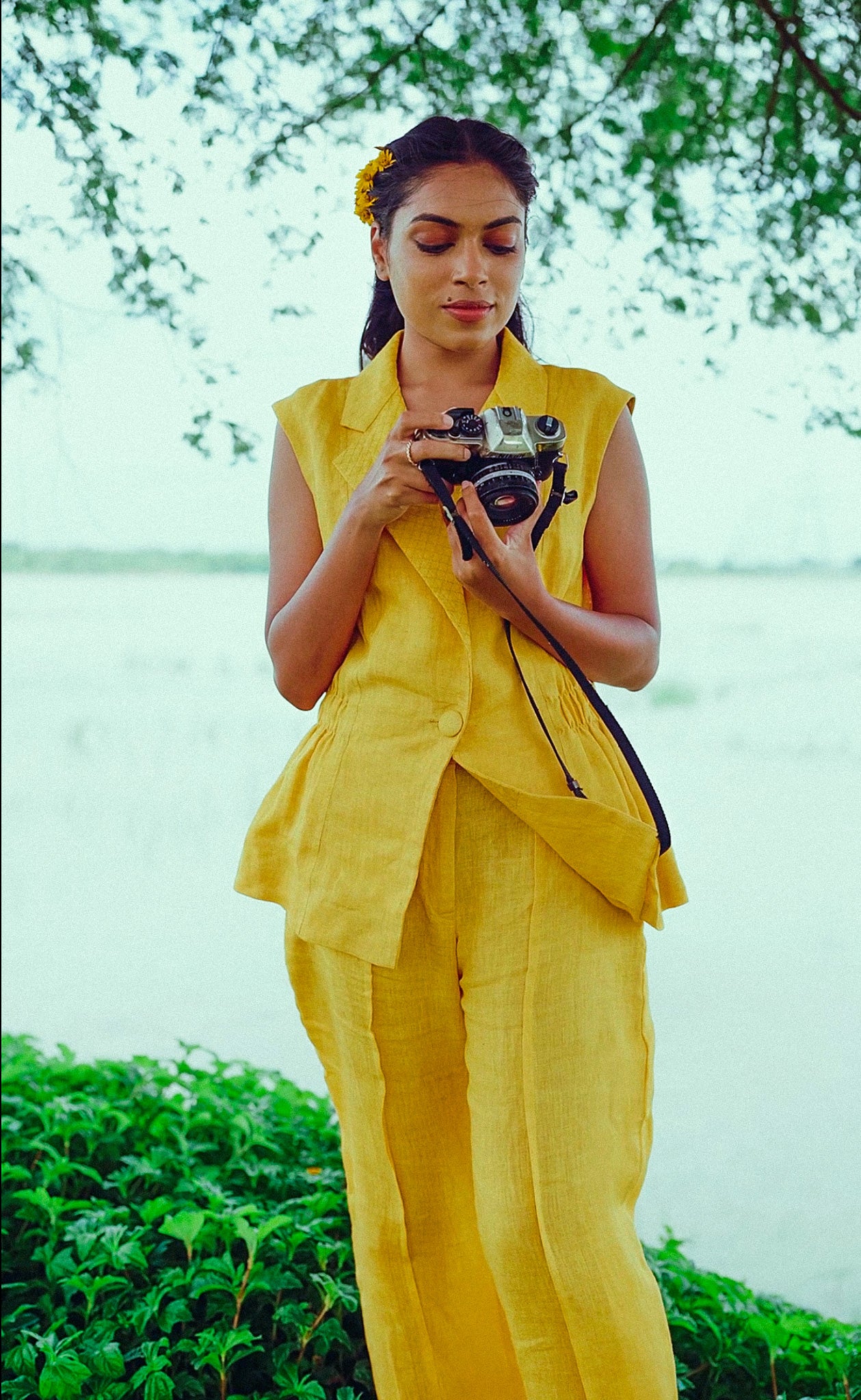 Surajmukhi